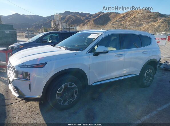 5NMS2DA16PH001133 2023 HYUNDAI SANTA FE HYBRID BLUE White 