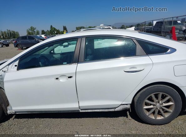 5NPE24AF1JH686466 2018 HYUNDAI SONATA White 