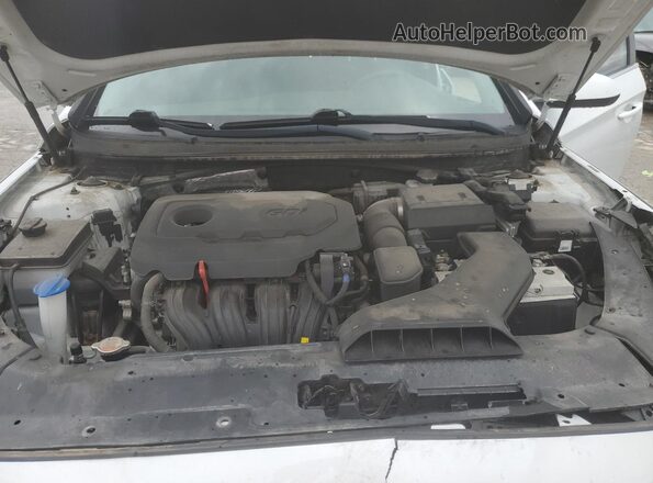 5NPE24AF5JH614461 2018 HYUNDAI SONATA Белый 