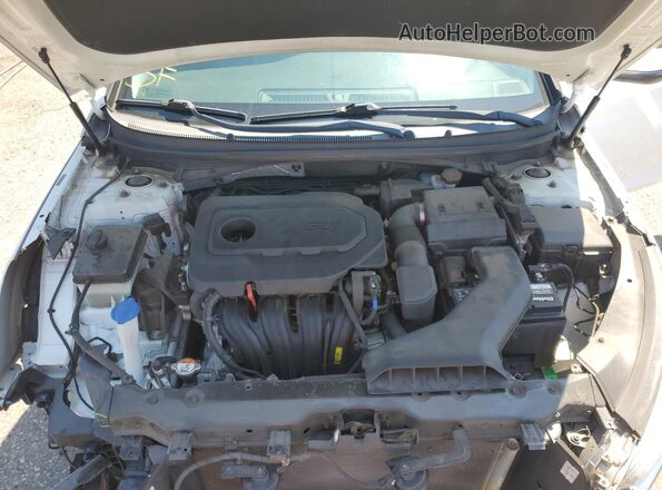 5NPE34AF8JH640565 2018 HYUNDAI SONATA Белый 