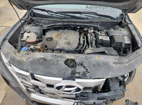 5NTJBDAE0RH079803 2024 HYUNDAI SANTA Gray Вид задньої частини салону