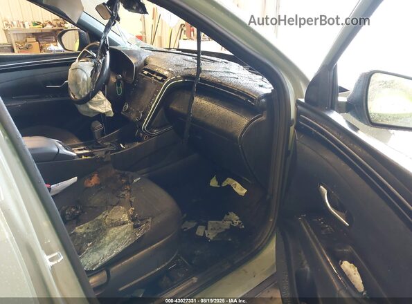 5NTJBDAEXPH068918 2023 HYUNDAI SANTA CRUZ Зеленый Вид салона спереди
