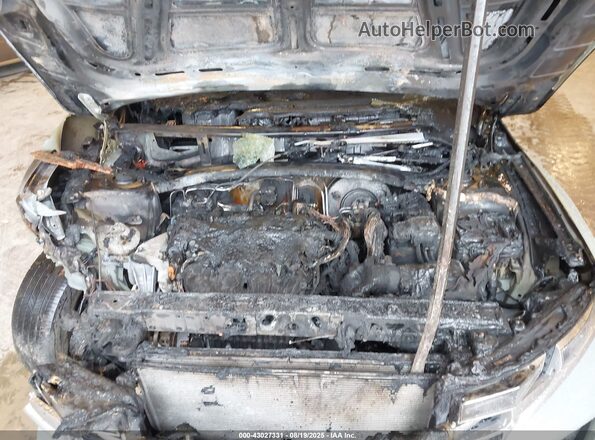 5NTJBDAEXPH068918 2023 HYUNDAI SANTA CRUZ Зеленый Вид сзади