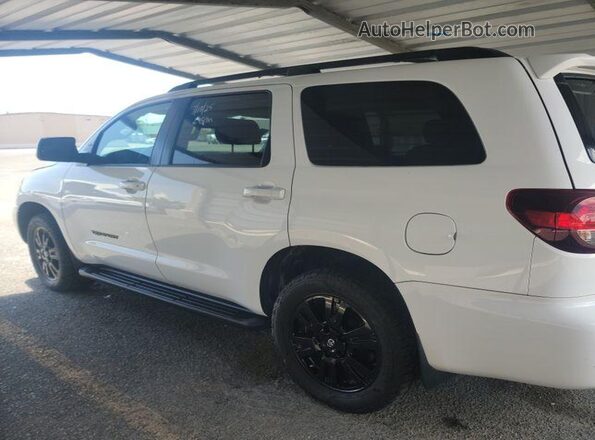 5TDCY5B13MS181350 2021 TOYOTA SEQUOIA  Vista de los asientos traseros
