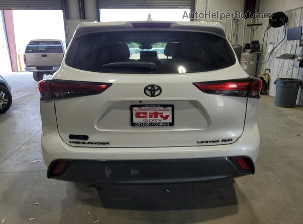5TDDZRBH4LS037228 2020 TOYOTA LIMITED White Հետևի տեսք