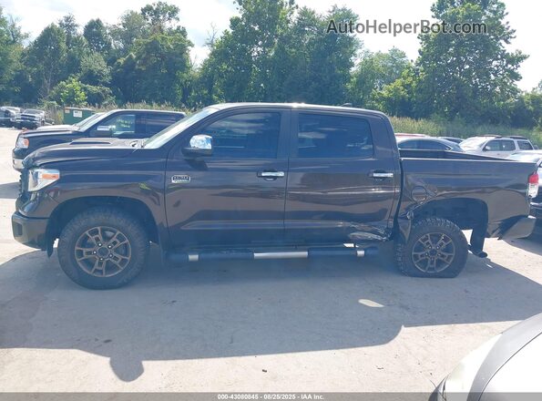 5TFAY5F14MX972322 2021 TOYOTA TUNDRA Коричневый 