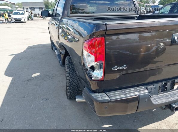 5TFAY5F14MX972322 2021 TOYOTA TUNDRA Коричневый 