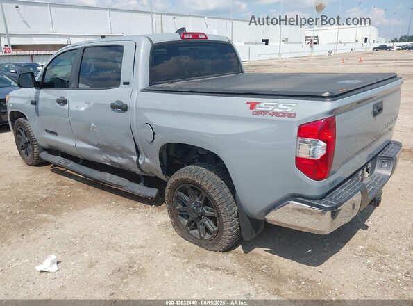 5TFEY5F17LX262931 2020 TOYOTA TUNDRA Gray Հետևի ձախ