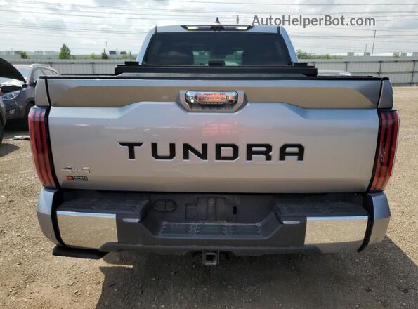 5TFMC5DB8RX073574 2024 TOYOTA TUNDRA Silver 