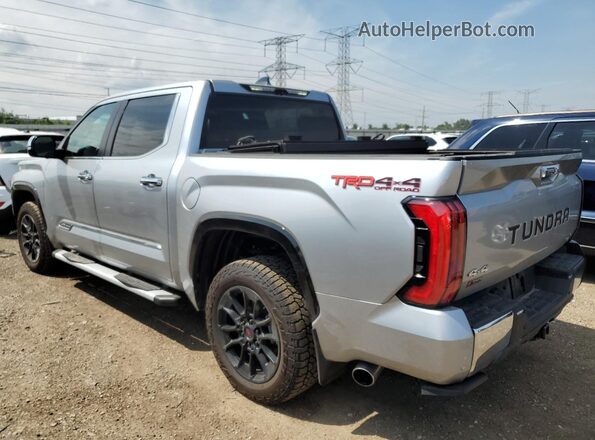 5TFMC5DB8RX073574 2024 TOYOTA TUNDRA Silver 
