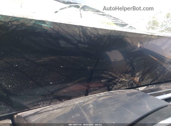 5UX33EX00T9117616 2026 BMW X6 Black Widok tylnych siedzeń