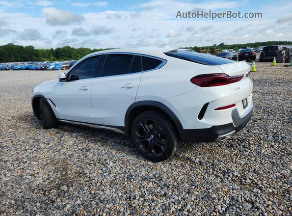 5UXCY6C06P9N58248 2023 BMW X6 Белый Задняя левая четверть
