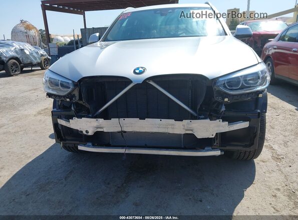 5UXTY5C05M9G94198 2021 BMW X3 Silver წინა ხედი