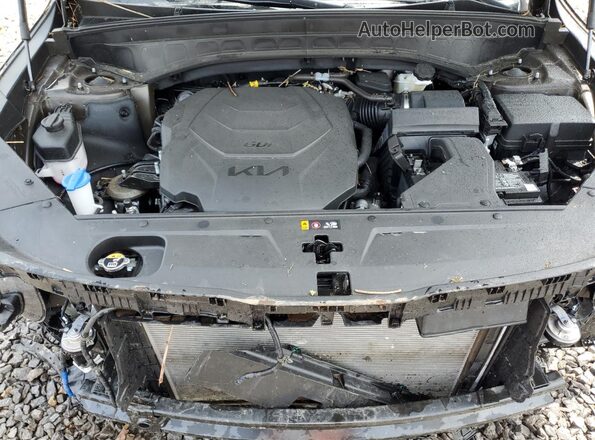 5XYP5DGC1RG545204 2024 KIA TELLURIDE Green 