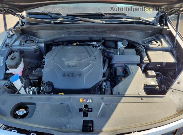 5XYP5DGC2RG524586 2024 KIA TELLURIDE Gray 