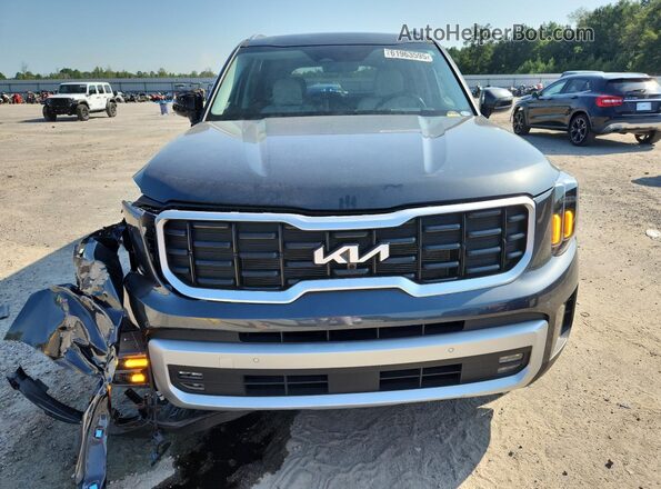 5XYP5DGC2RG524586 2024 KIA TELLURIDE Gray 