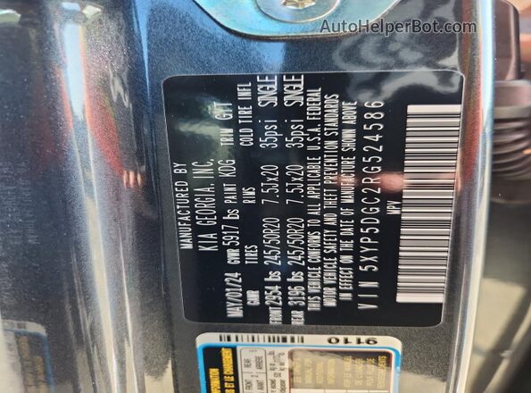 5XYP5DGC2RG524586 2024 KIA TELLURIDE Gray 
