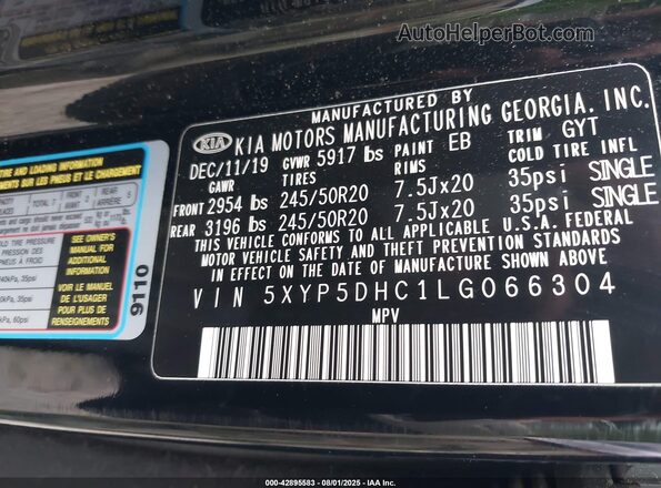 5XYP5DHC1LG066304 2020 KIA TELLURIDE Black Widok komory silnika