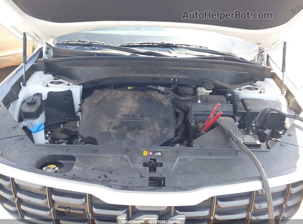 5XYP6DGC4PG369629 2023 KIA TELLURIDE White Widok z tyłu