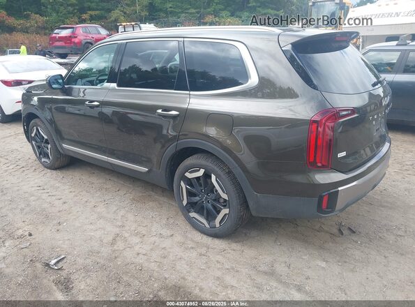 5XYP6DGC5SG607870 2025 KIA TELLURIDE Серый Задняя левая четверть