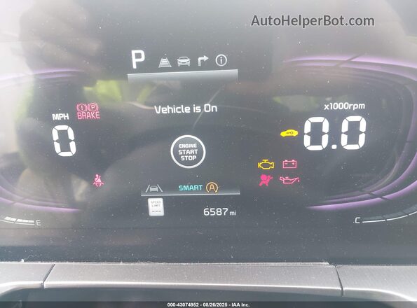 5XYP6DGC5SG607870 2025 KIA TELLURIDE Серый 