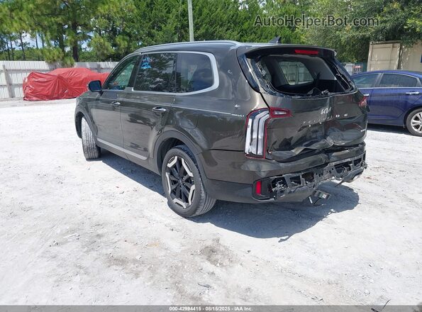5XYP6DGCXPG344640 2023 KIA TELLURIDE Коричневый Задняя левая четверть