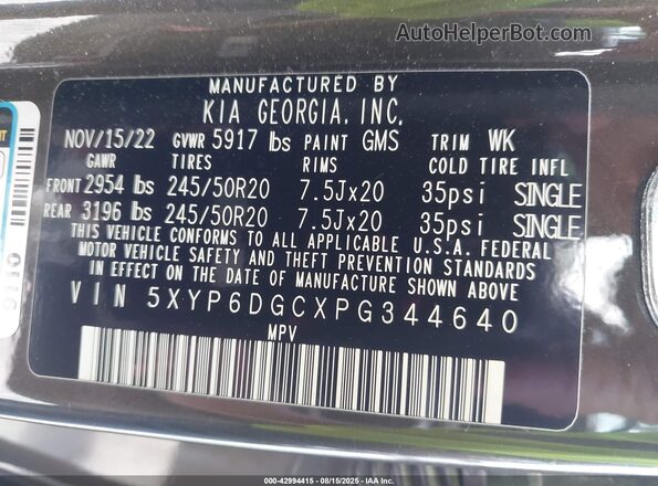 5XYP6DGCXPG344640 2023 KIA TELLURIDE Коричневый Вид подкапотного пространства