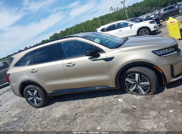 5XYRL4LC4MG002443 2021 KIA SORENTO Золотой Вид задней части салона