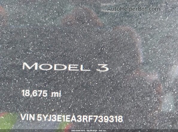 5YJ3E1EA3RF739318 2024 TESLA MODEL 3 Gray Հետևի նստատեղերի տեսք