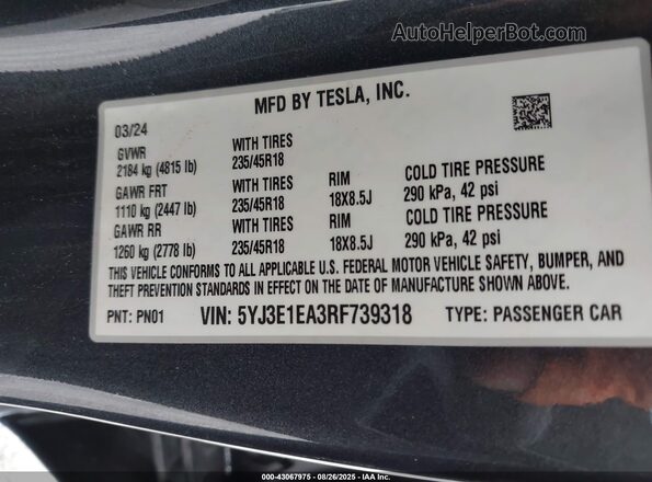 5YJ3E1EA3RF739318 2024 TESLA MODEL 3 Gray Շարժիչի բաժամունքի տեսք