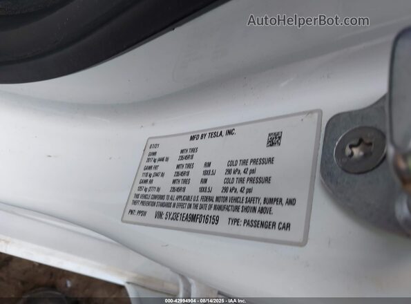 5YJ3E1EA9MF016159 2021 TESLA MODEL 3 White Շարժիչի բաժամունքի տեսք
