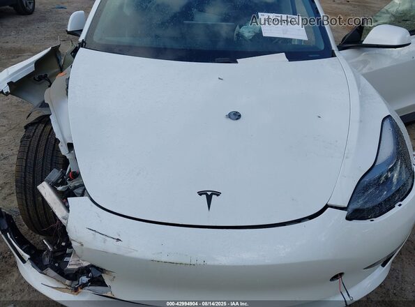 5YJ3E1EA9MF016159 2021 TESLA MODEL 3 White Հետևի տեսք