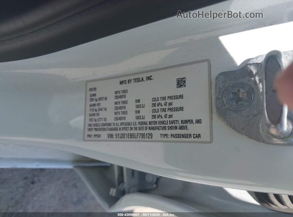 5YJ3E1EB5LF795129 2020 TESLA MODEL 3 White Engine compartment view