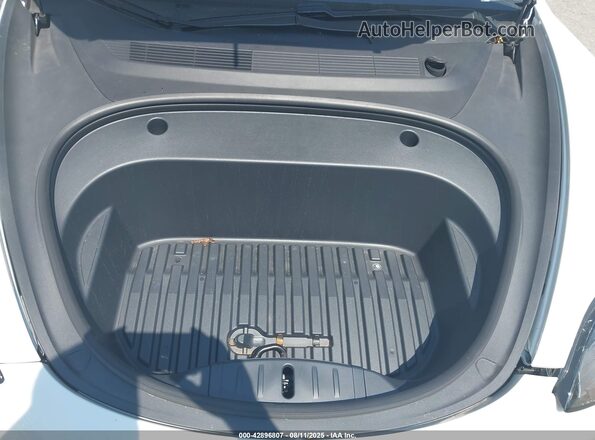 5YJ3E1EB5LF795129 2020 TESLA MODEL 3 White Rear view