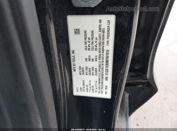 5YJ3E1EB9MF961816 2021 TESLA MODEL 3 Black 