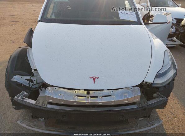 5YJYGAEE6MF255445 2021 TESLA MODEL Y White Հետևի տեսք