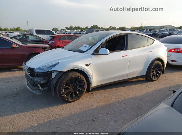 5YJYGAEE6MF255445 2021 TESLA MODEL Y White Սալոնի 360 աստիճան տեսք