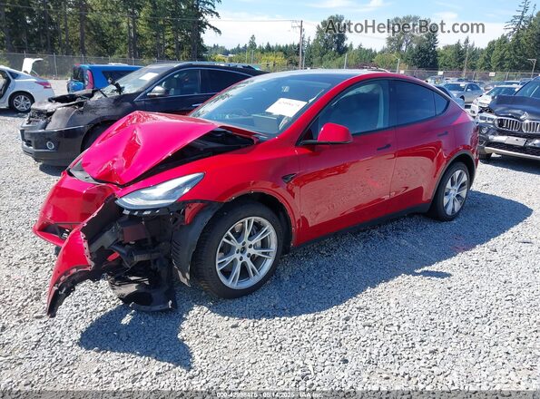 5YJYGDEE1MF196290 2021 TESLA MODEL Y Red 