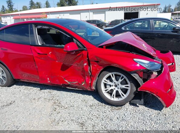 5YJYGDEE1MF196290 2021 TESLA MODEL Y Red 