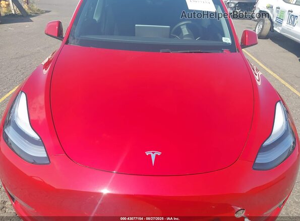 5YJYGDEE7LF030371 2020 TESLA MODEL Y Красный 