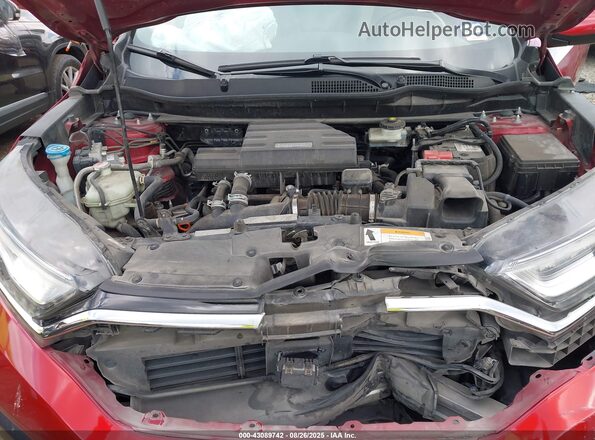 7FARW1H97LE013174 2020 HONDA CR-V Red Հետևի տեսք