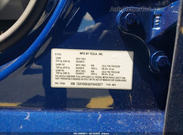 7SAYGDED2TA443077 2026 TESLA MODEL Y Синий 