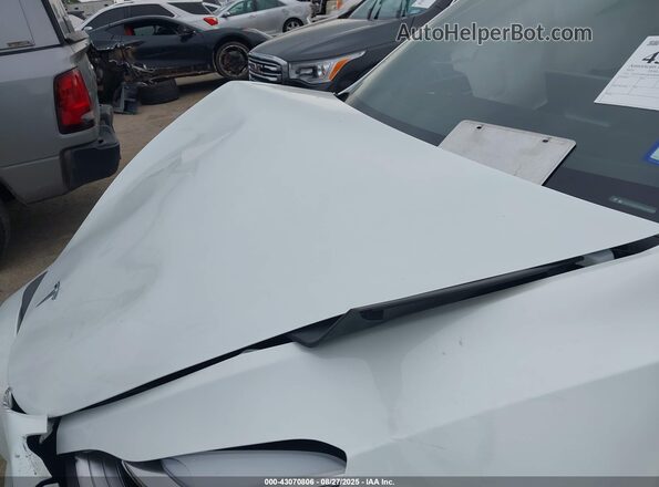7SAYGDEE4PA044024 2023 TESLA MODEL Y White Вид ззаду