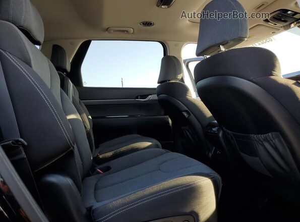 KM8R2DHE2LU028285 2020 HYUNDAI PALISADE Черный Вид подкапотного пространства
