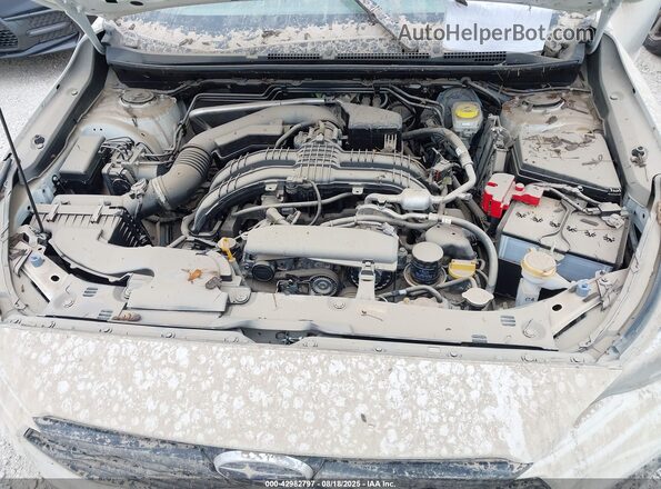 JF1GUABC5R8884960 2024 SUBARU IMPREZA Белый Вид сзади