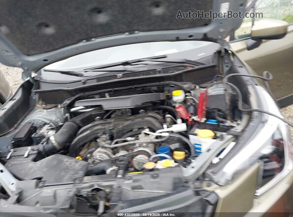 JF2SKAEC3PH467440 2023 SUBARU FORESTER Green 