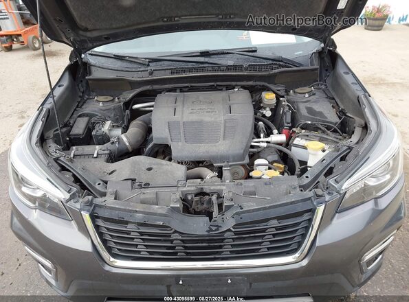JF2SKAXC7LH453483 2020 SUBARU FORESTER Серый Вид сзади