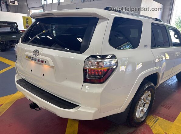 JTENU5JR5P6122506 2023 TOYOTA LIMITED  უკანა სავარძლების ხედი