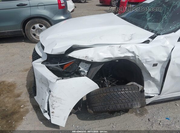 JTHAP1D29P5004397 2023 LEXUS IS 500 White 