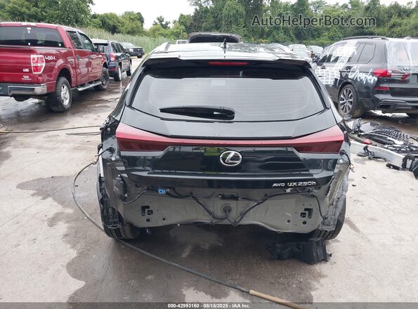 JTHX9JBH1R2074296 2024 LEXUS UX Black 